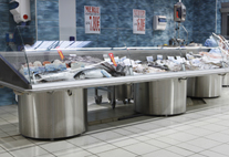 Fish counters with back static cooling