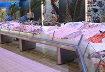 Fish counters with square tube